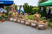 Urz�d Miejski w Wolsztynie