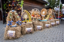 Urz�d Miejski w Wolsztynie